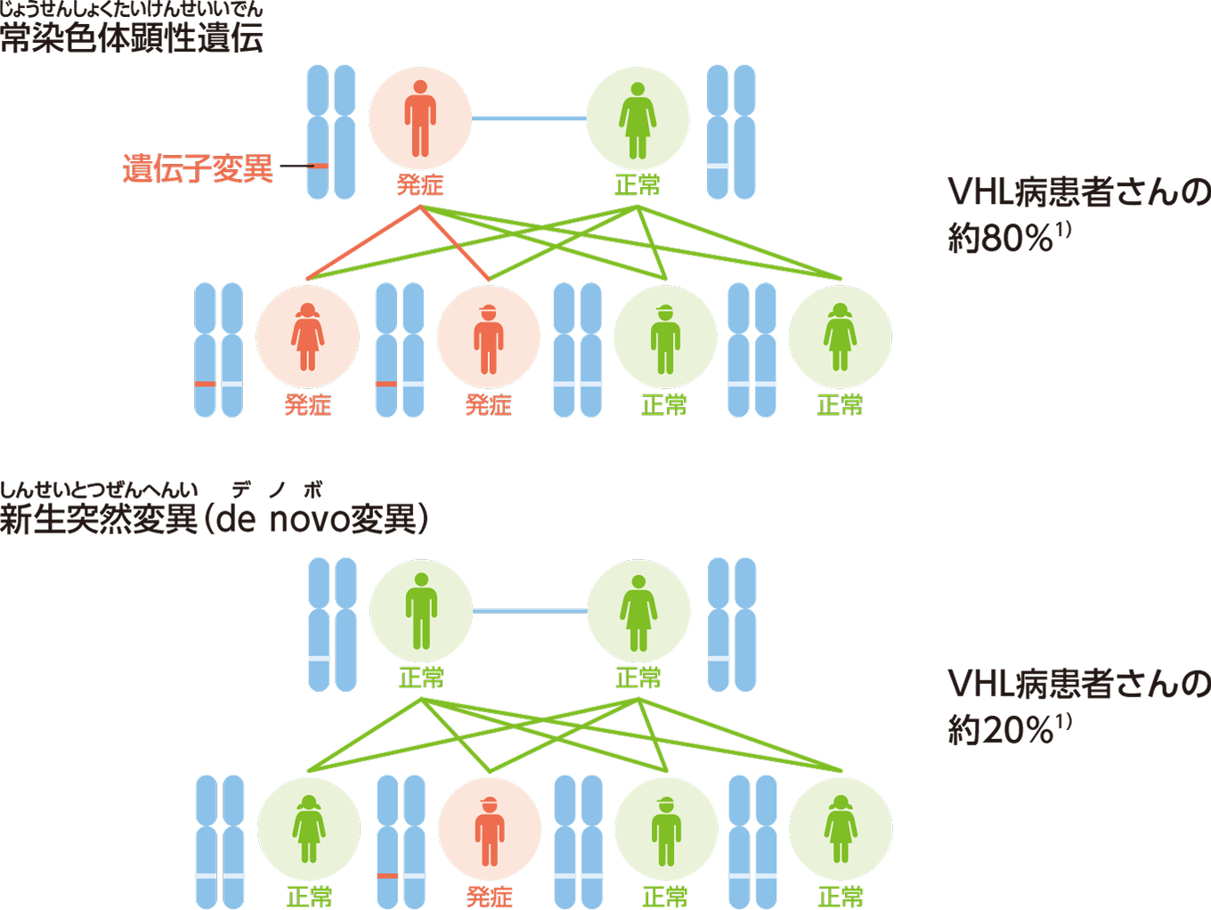 VHL病の遺伝形式の図