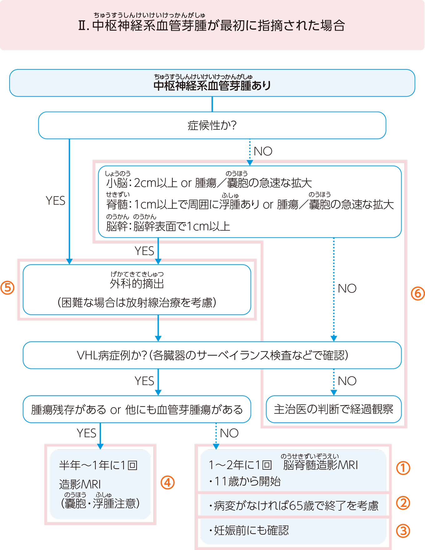 中枢神経系血管芽腫が最初に指摘された場合のフロー図