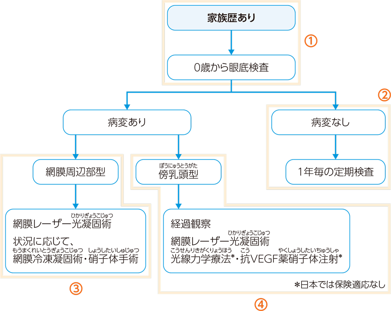 検査・治療のフロー図