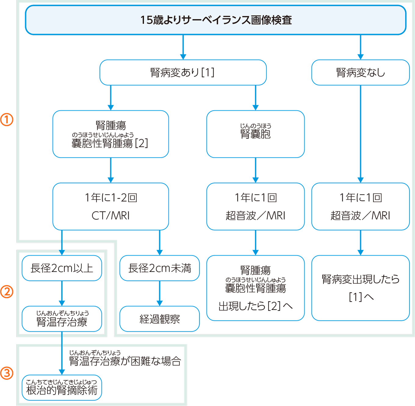 検査・治療のフロー図